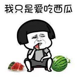 吃瓜娱乐tv,带你领略娱乐圈幕后风云