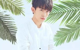 娱乐吃瓜君毕雯珺,娱乐吃瓜界的风云人物