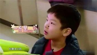 娱乐吃瓜酱小孩哥,揭秘小孩哥的童年趣事与成长历程