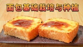 寺寺娱乐吃瓜,揭秘娱乐圈吃瓜背后的真相